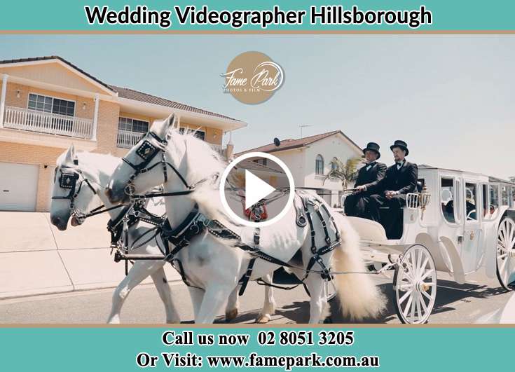 The wedding carriage Hillsborough NSW 2290