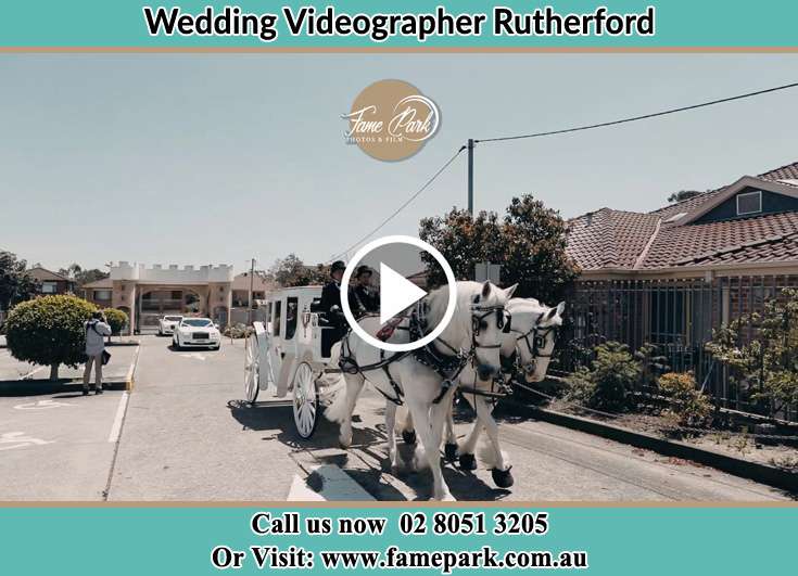 The wedding carriage Rutherford NSW 2320